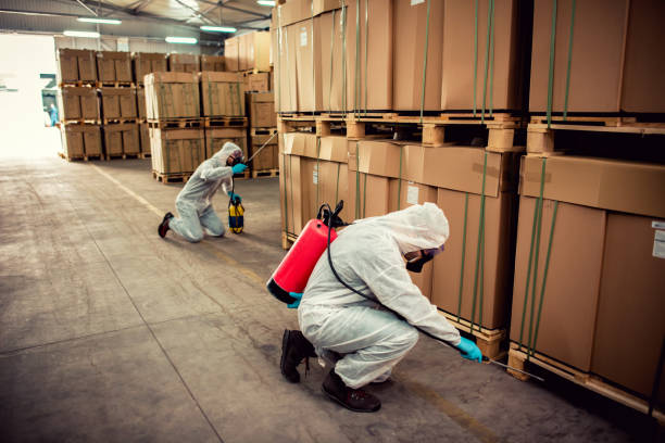 Best Mosquito Control Services  in Seis Lagos, TX