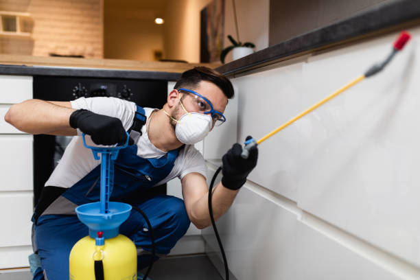 Insect Control in Seis Lagos, TX