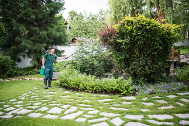 Best Commercial Pest Control Services  in Seis Lagos, TX