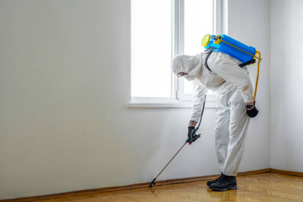 Best Best Pest Control Companies  in Seis Lagos, TX