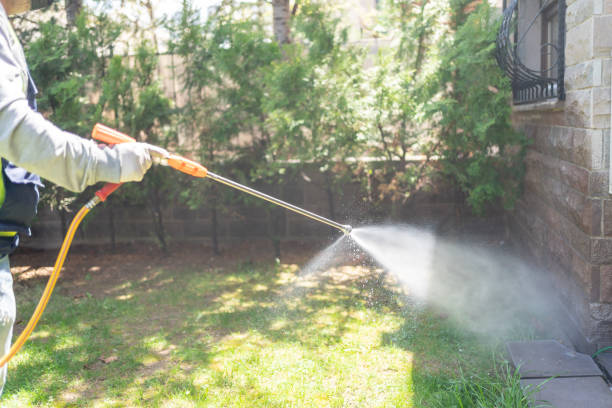 Best Bed Bug Extermination  in Seis Lagos, TX