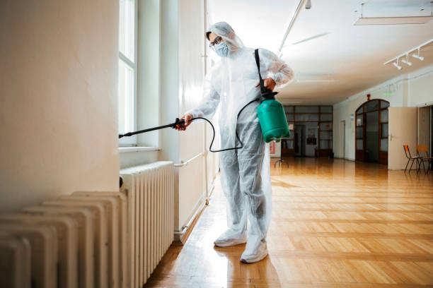 Best Mosquito Control Services  in Seis Lagos, TX