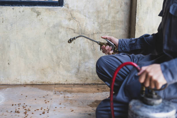 Best Pest Removal Services  in Seis Lagos, TX